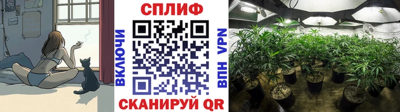 МАРИХУАНА Amnesia  Купить закладки  Сарапул 